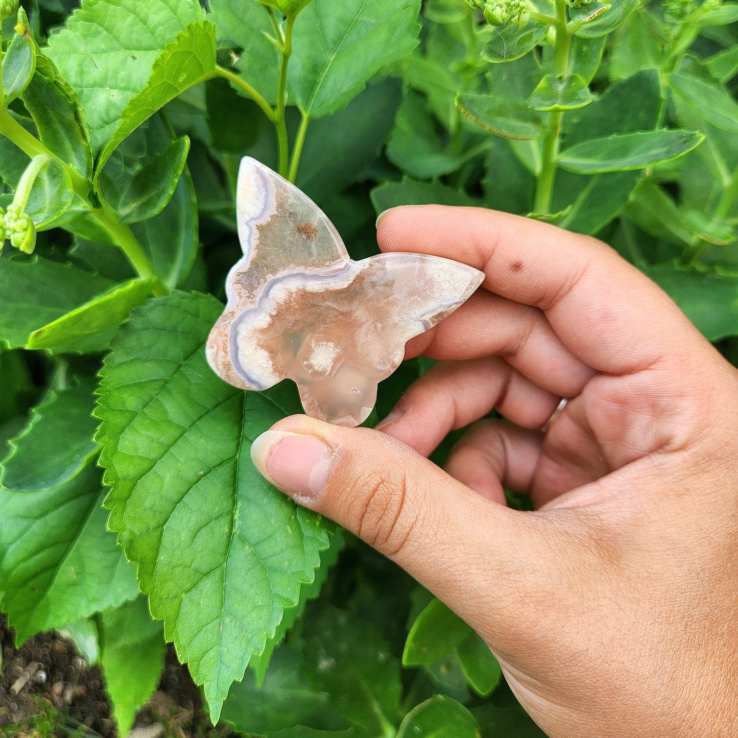 Flower Agate Butterfly