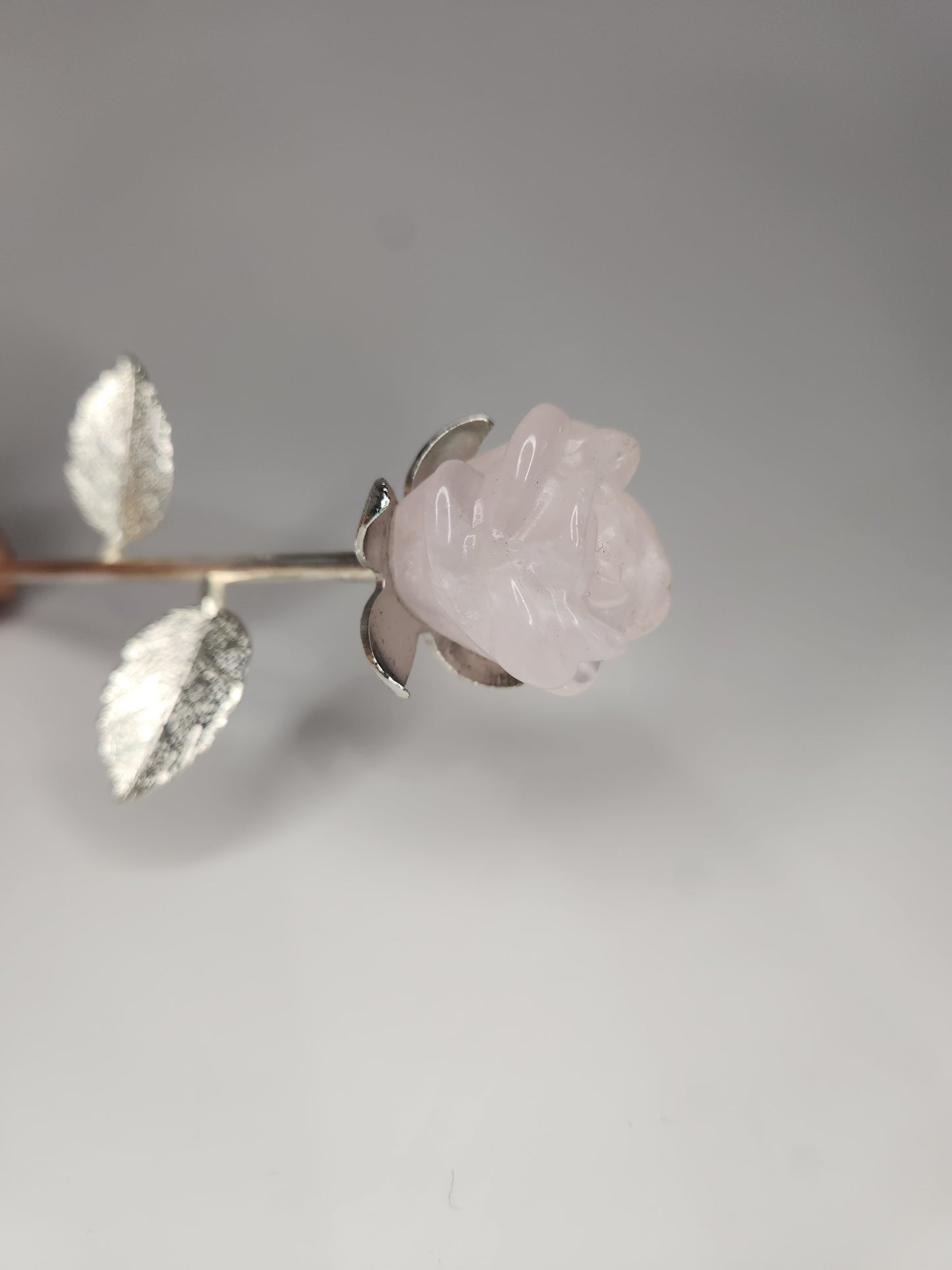 Rose Quartz Rose - The Forever Rose