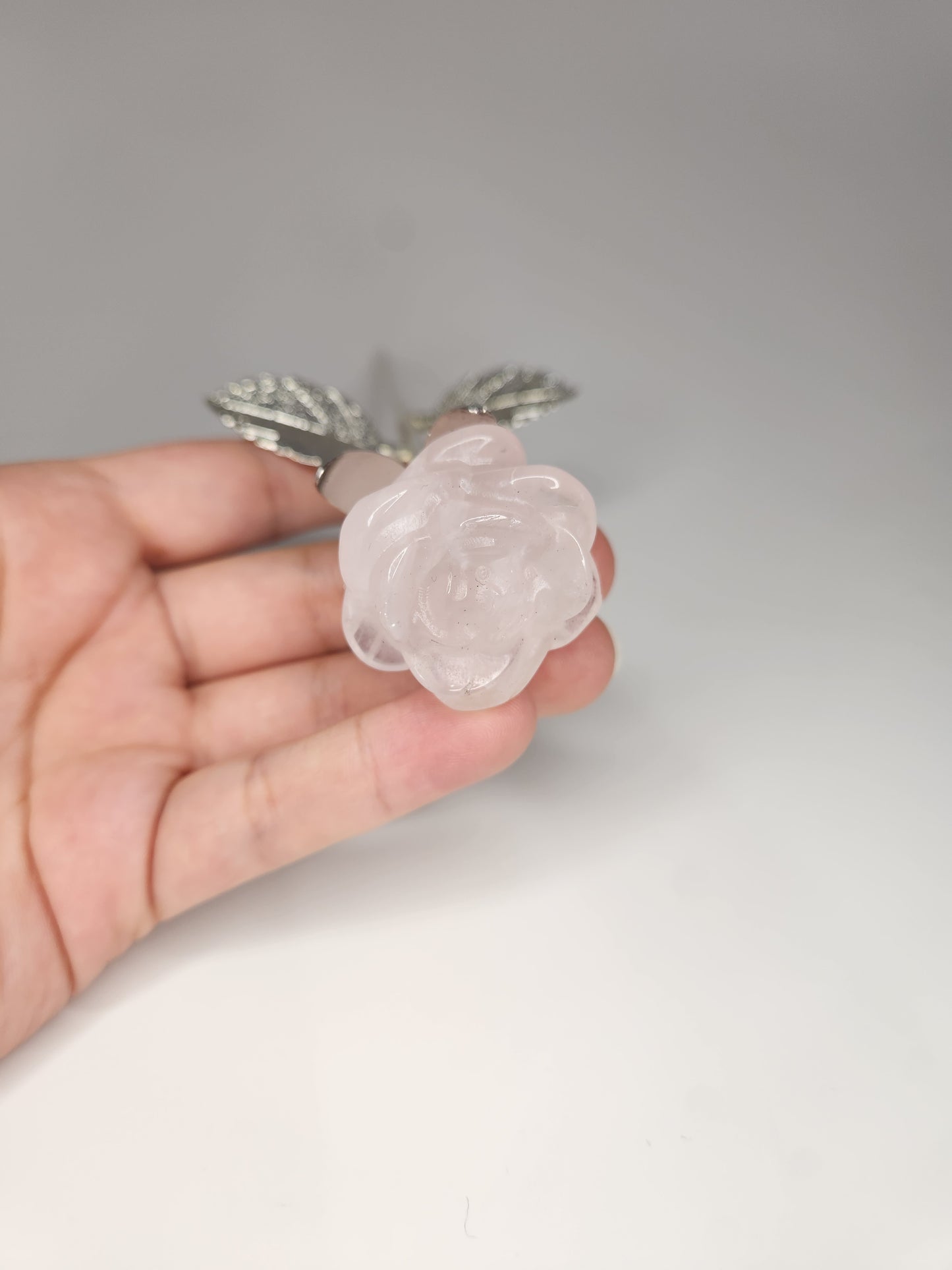 Rose Quartz Rose - The Forever Rose