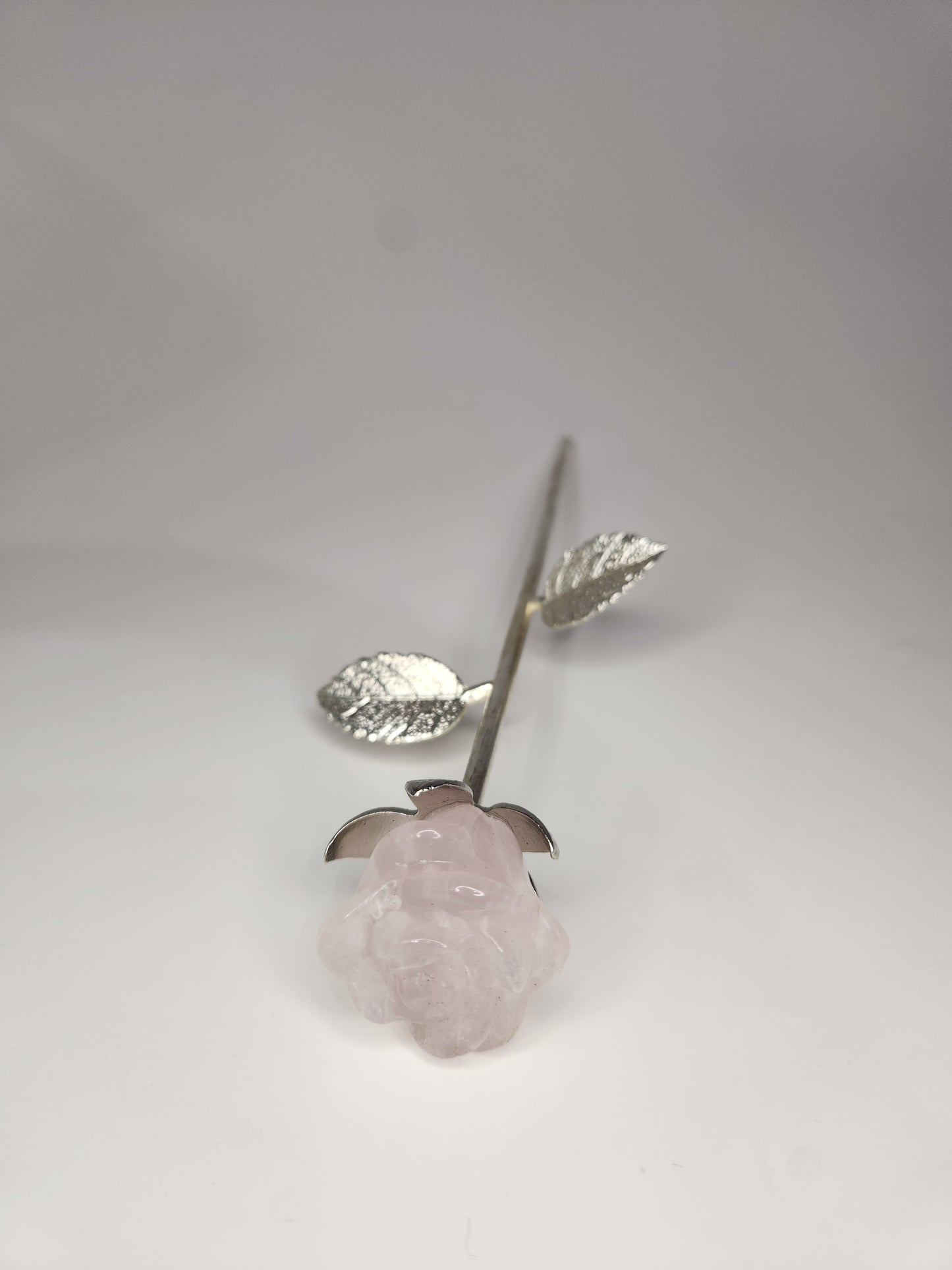 Rose Quartz Rose - The Forever Rose