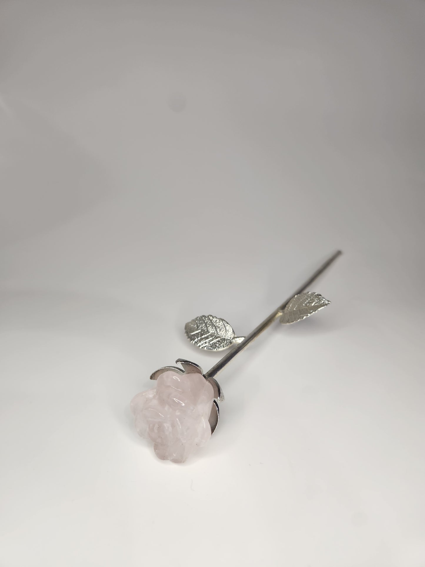 Rose Quartz Rose - The Forever Rose