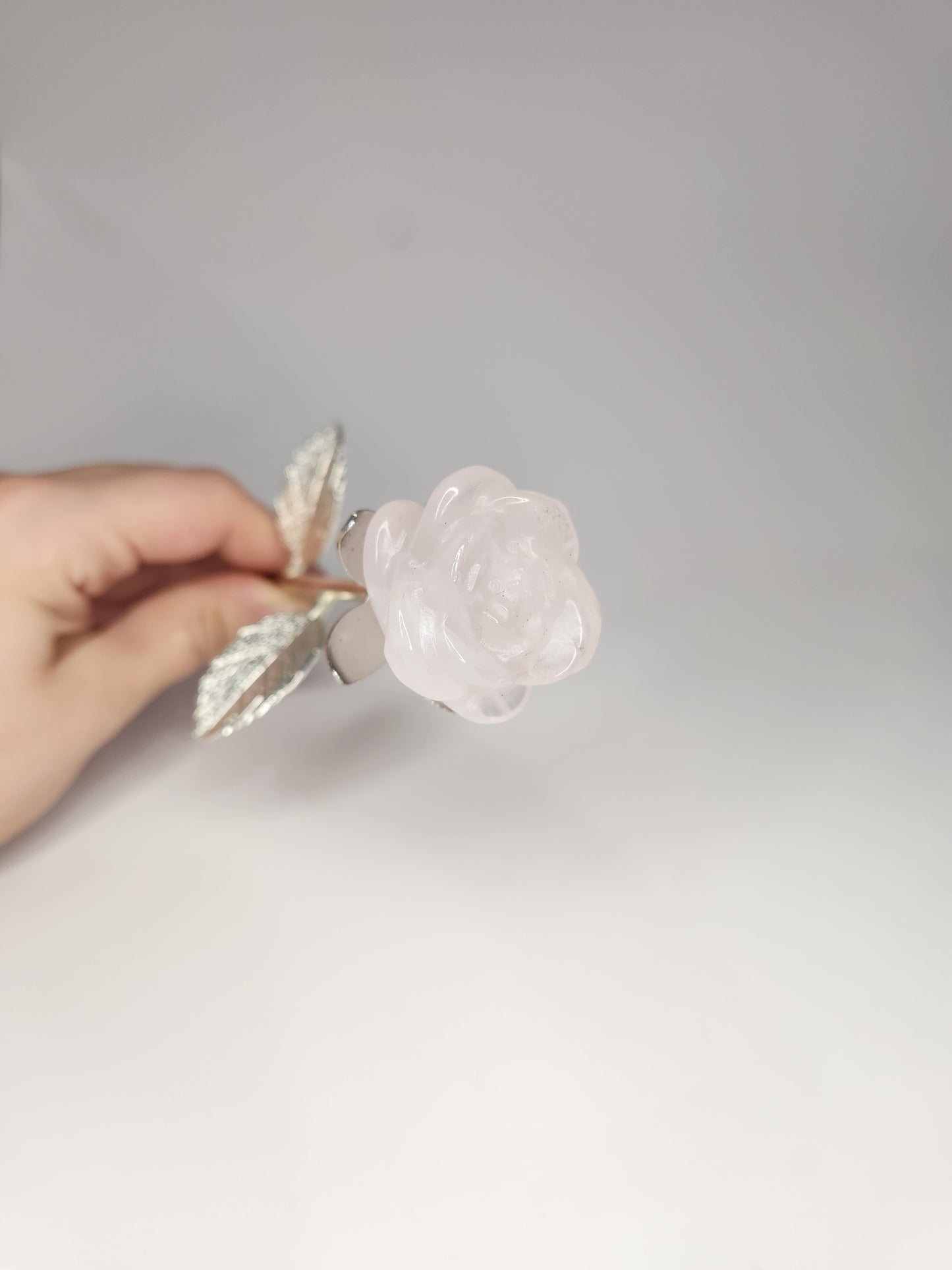 Rose Quartz Rose - The Forever Rose