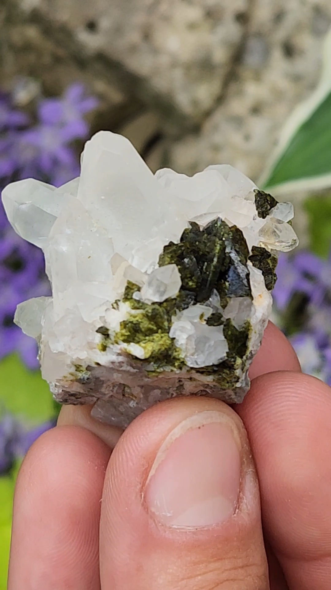 Epidote and Quartz E