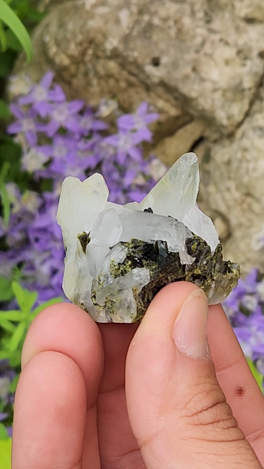 Epidote and Quartz D