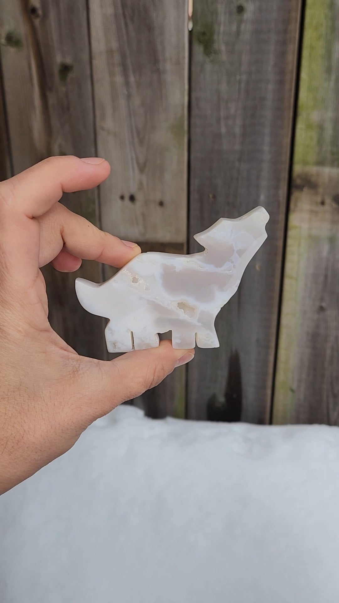 White Plume Agate Wolf