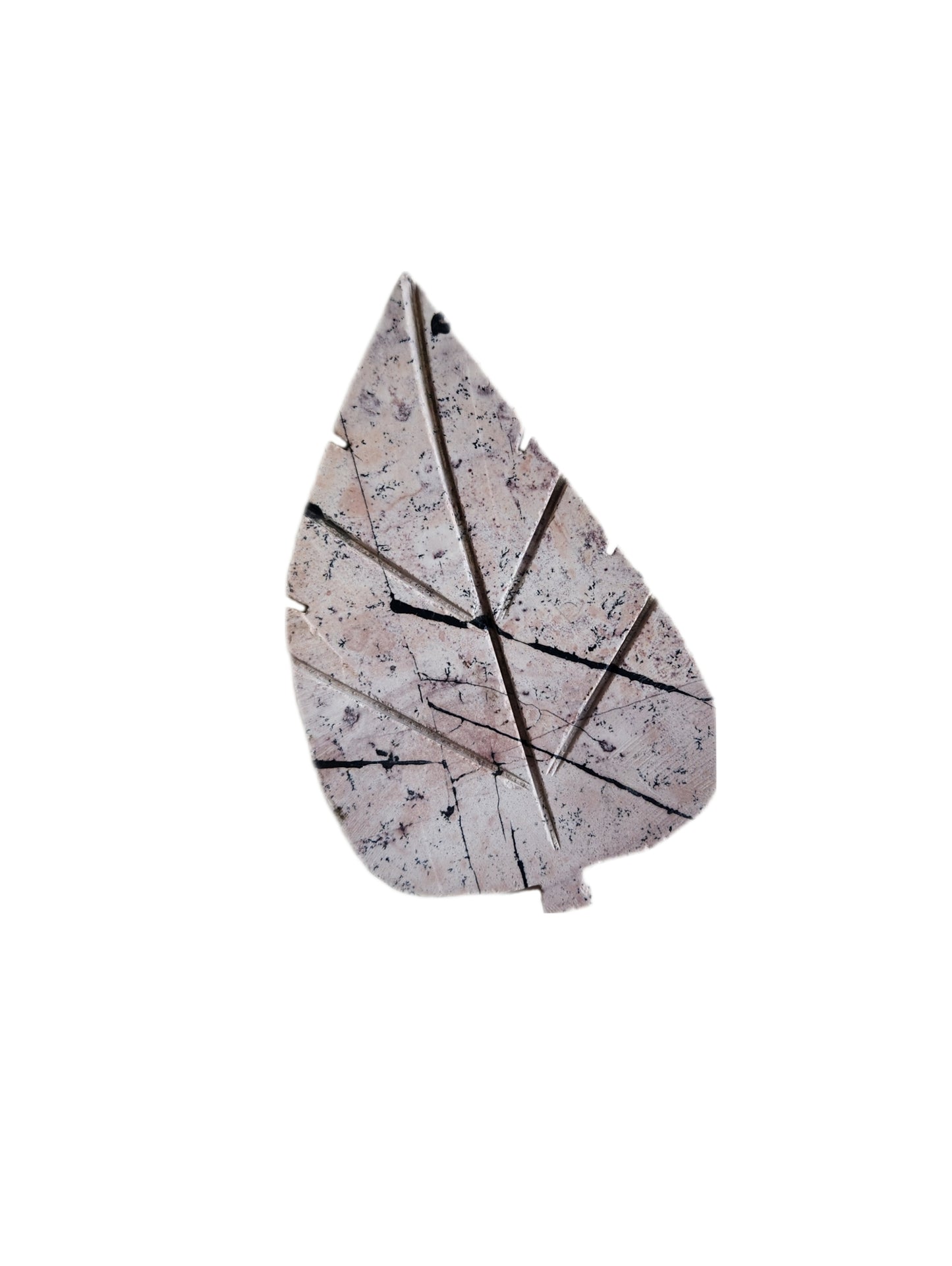 Picture Jasper Leaf