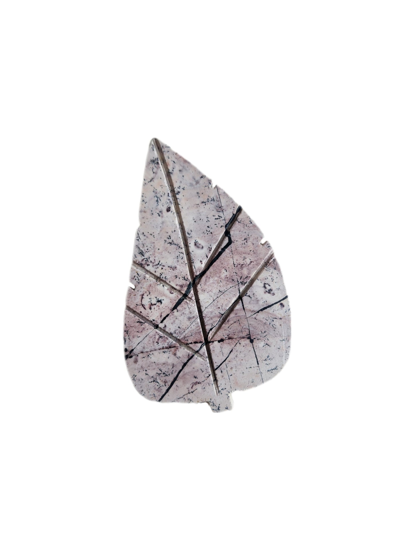 Picture Jasper Leaf