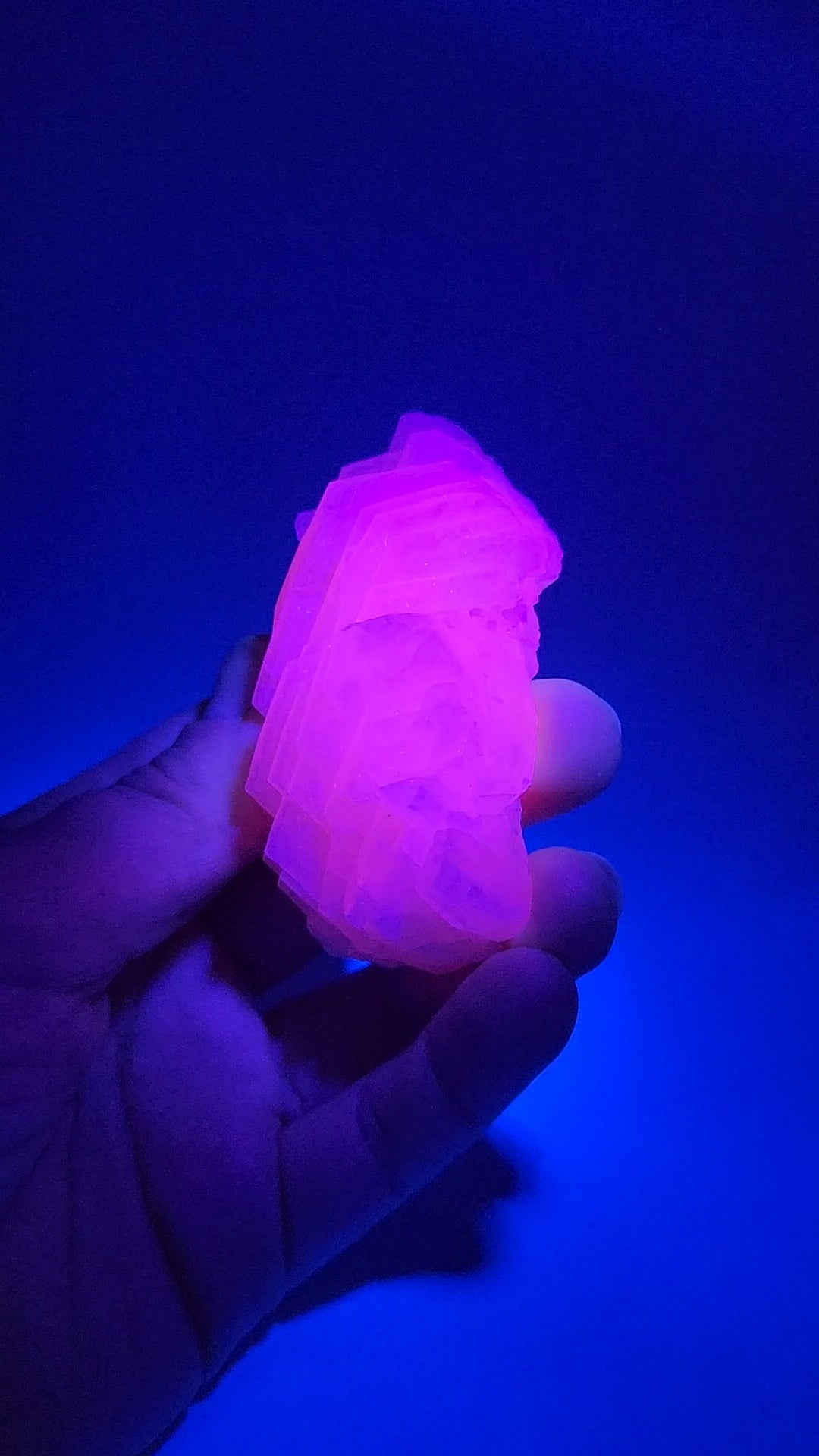 UV Reactive Pink Calcite