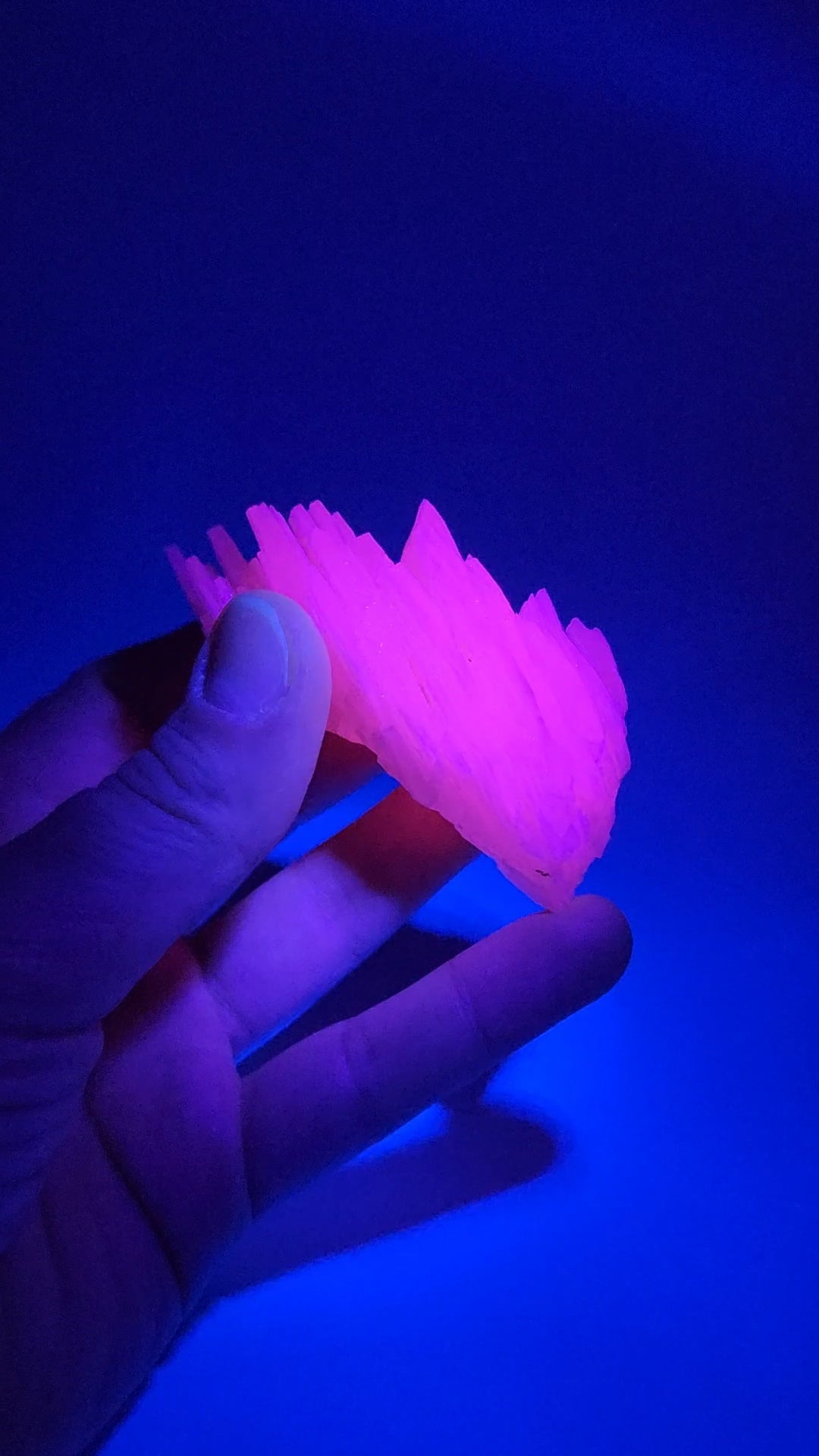 UV Reactive Pink Calcite