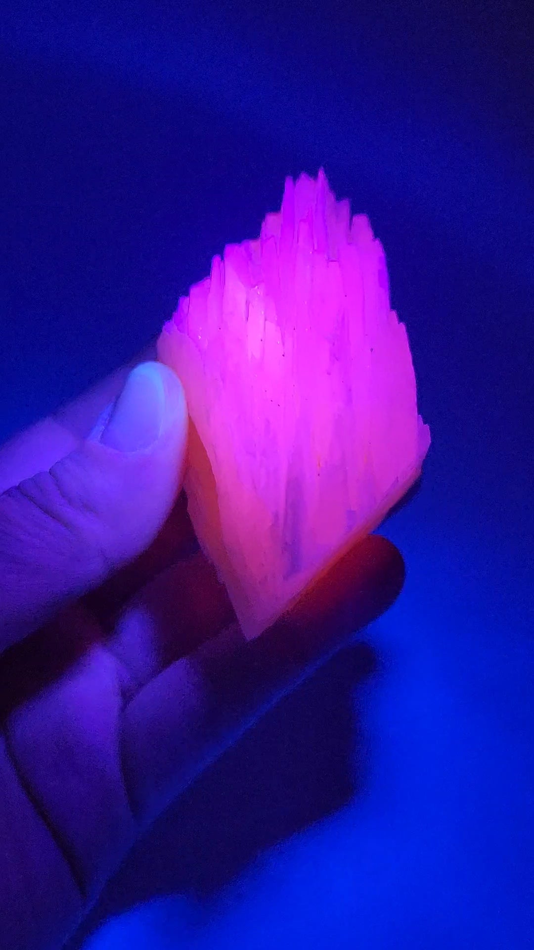 UV Reactive Pink Calcite