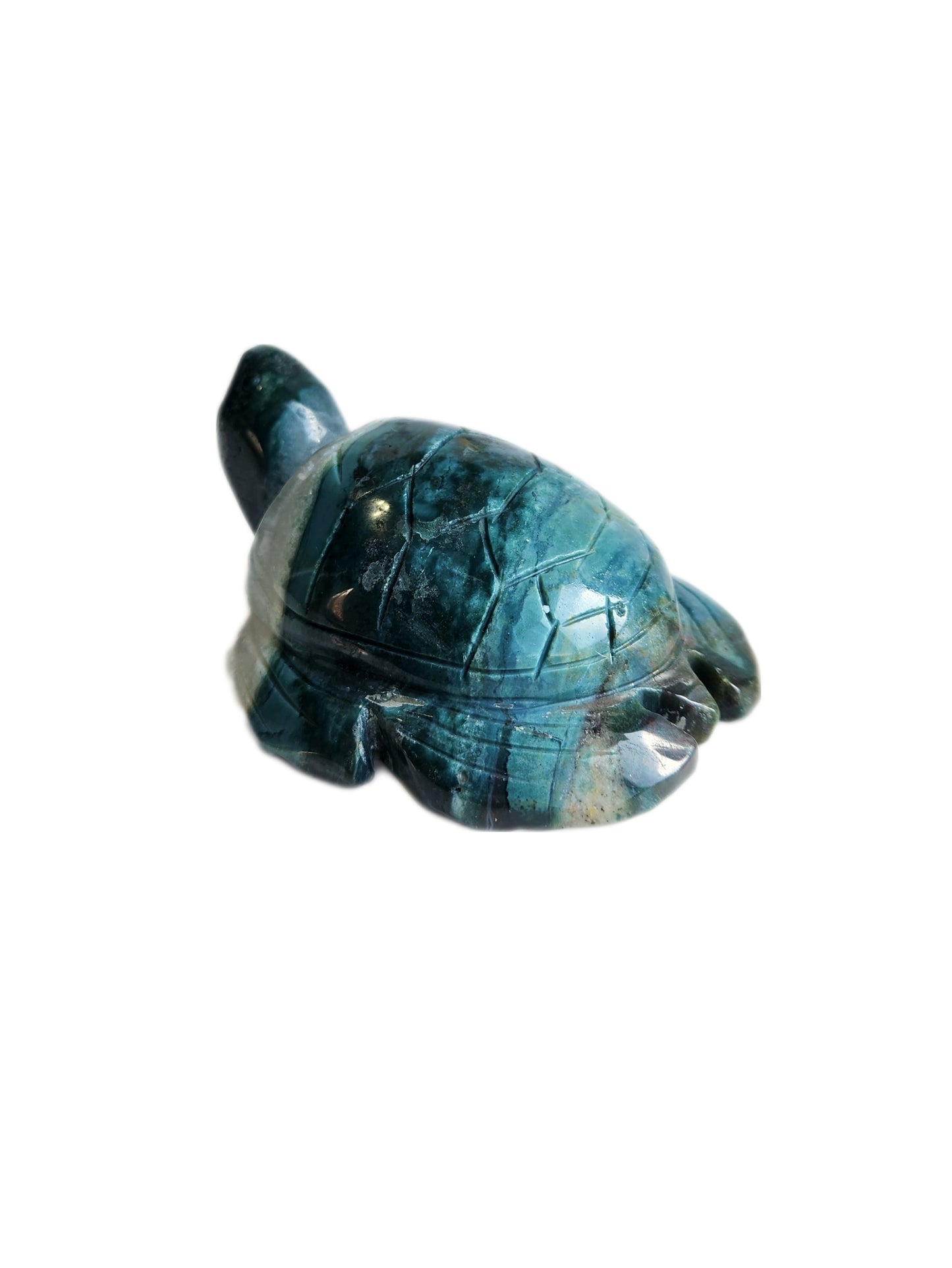 Ocean Jasper Turtle