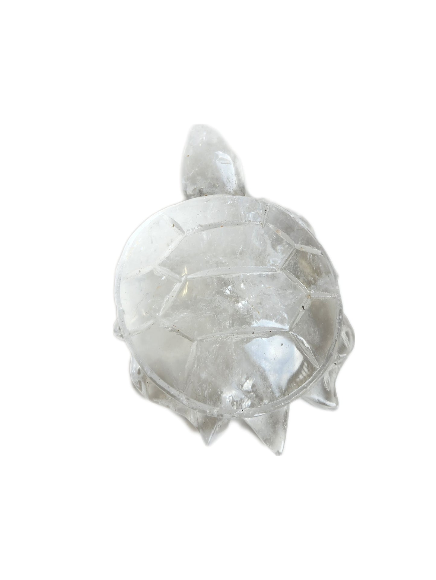 Clear Quartz Turtle