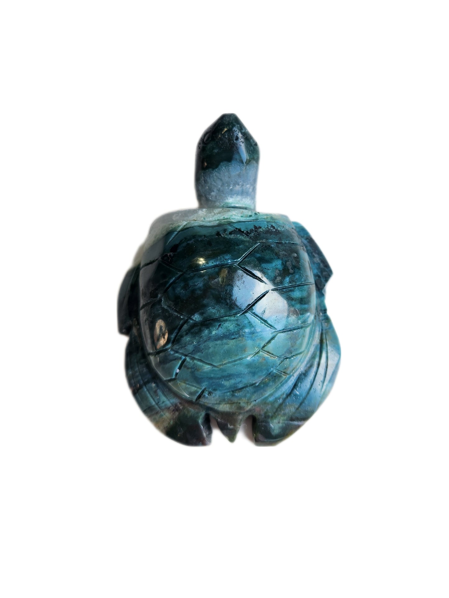 Ocean Jasper Turtle
