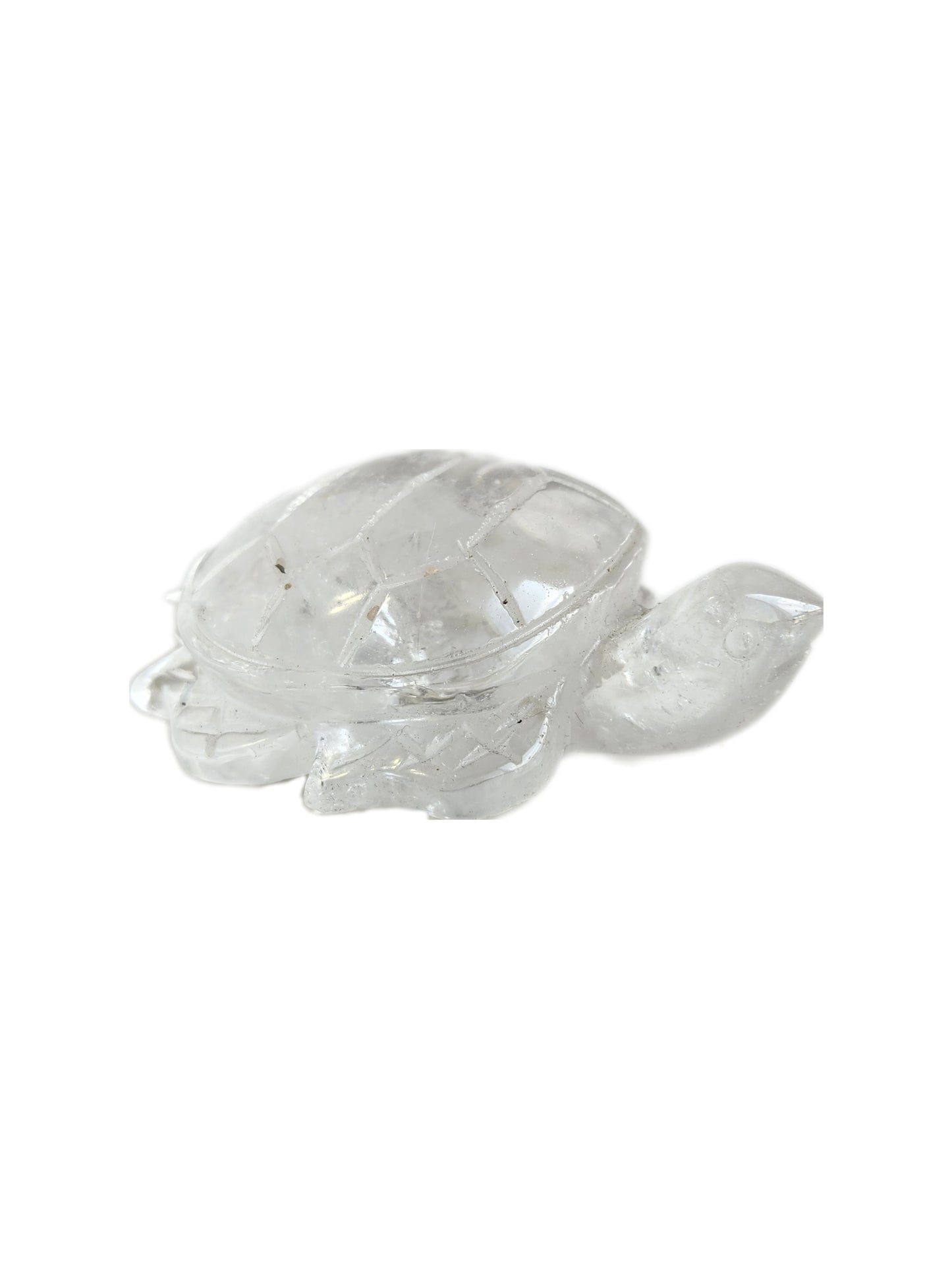 Clear Quartz Turtle