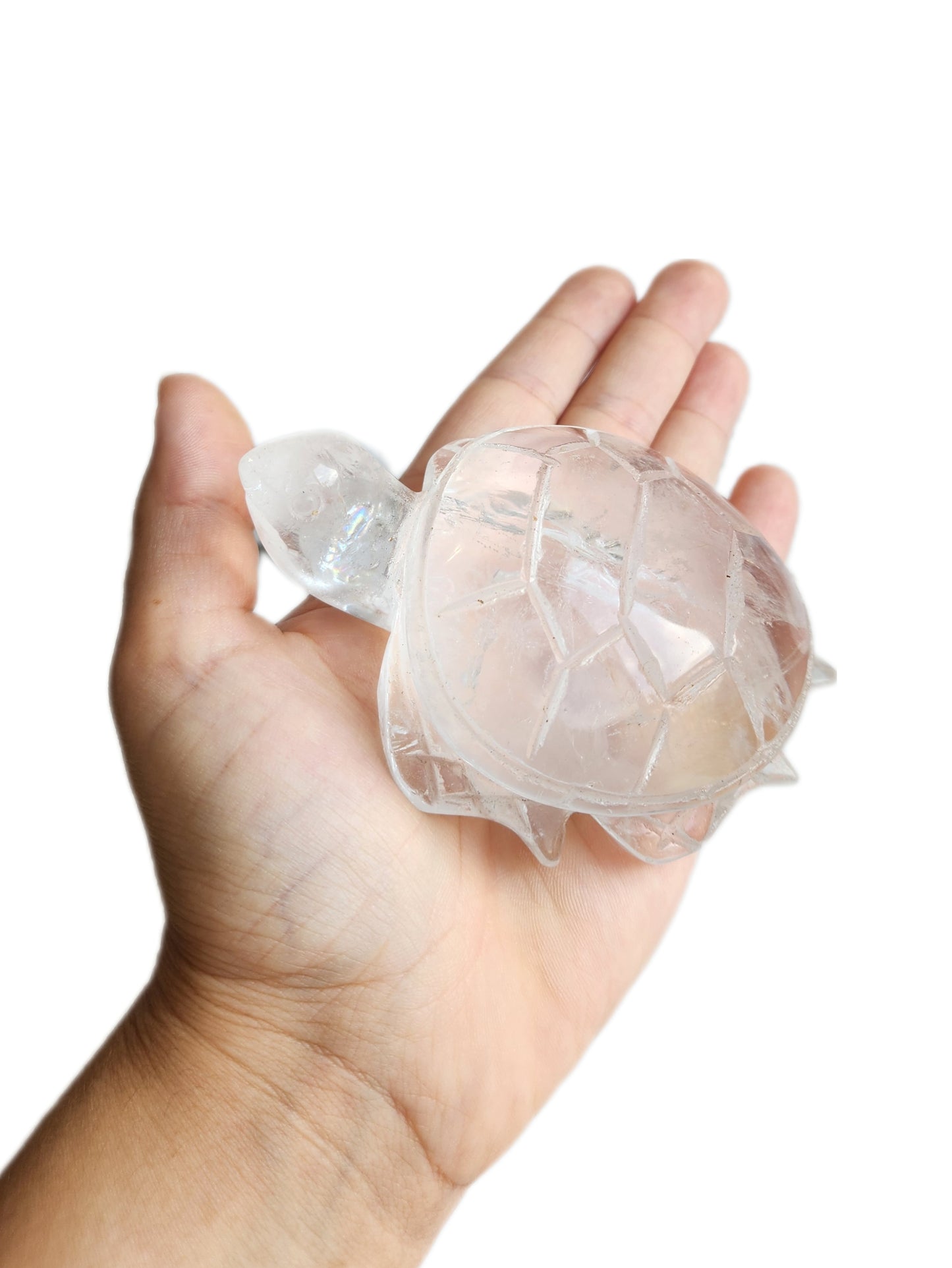 Clear Quartz Turtle