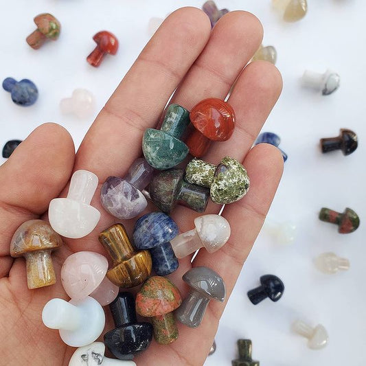 Mini Mushroom Carving