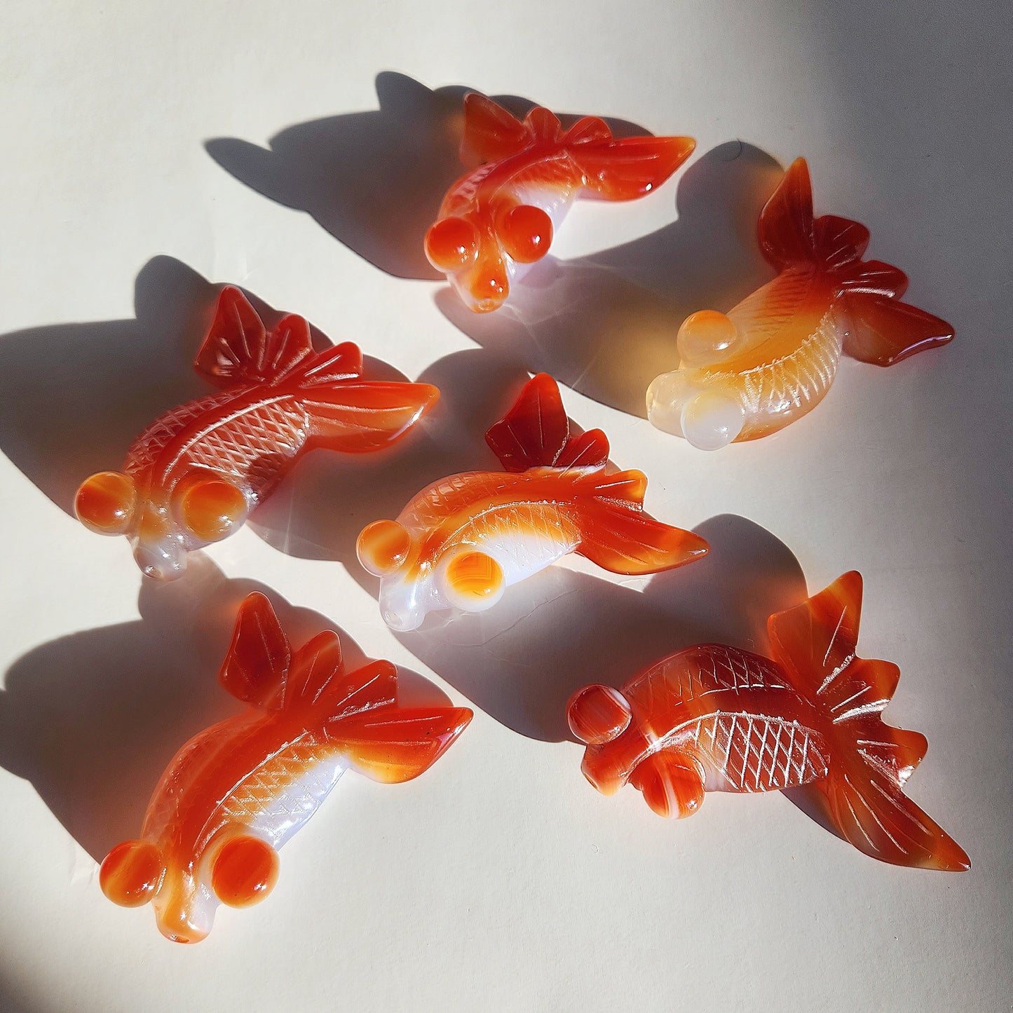 Carnelian Goldfish