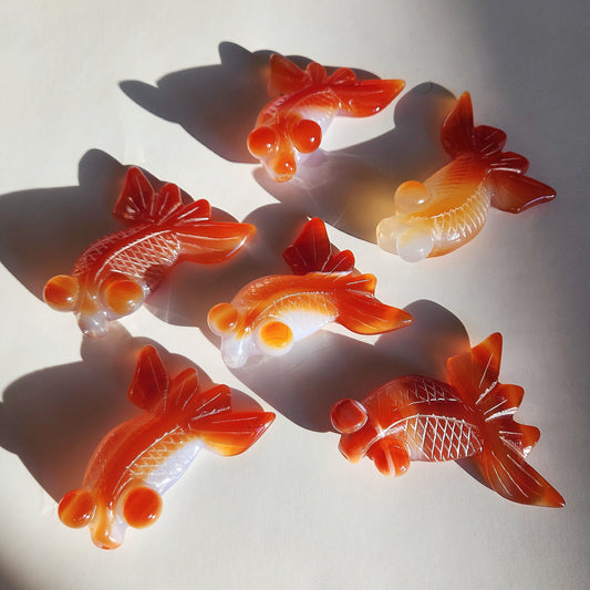 Carnelian Goldfish