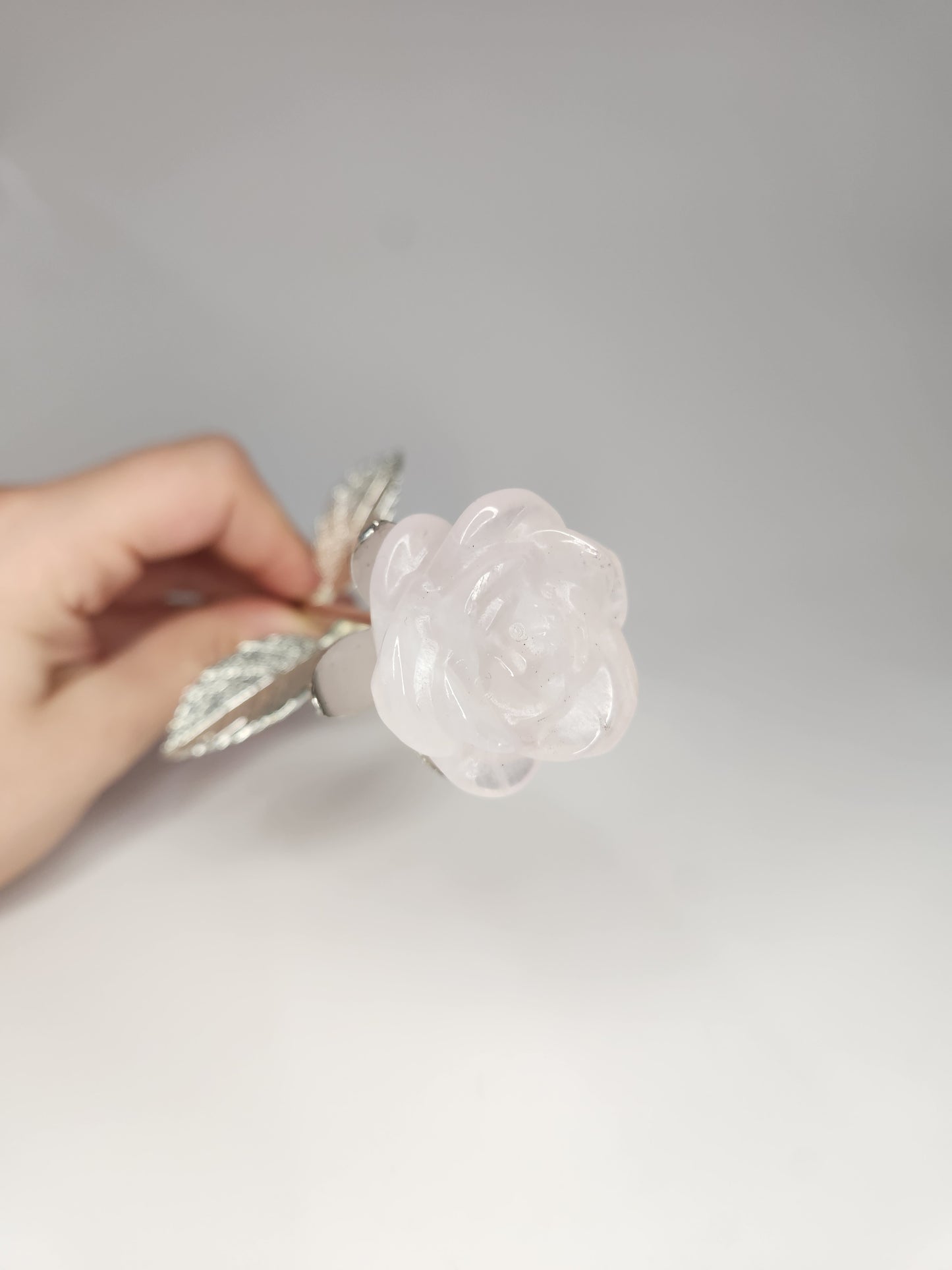 Rose Quartz Rose - The Forever Rose