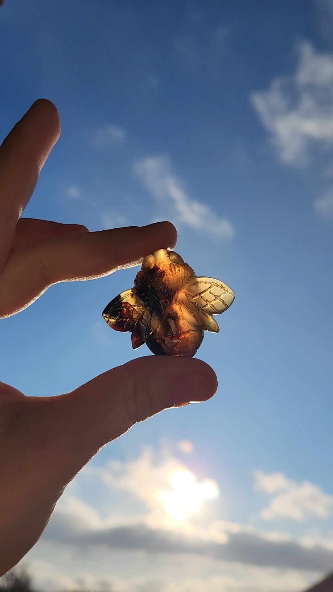 Amber Bee Carving