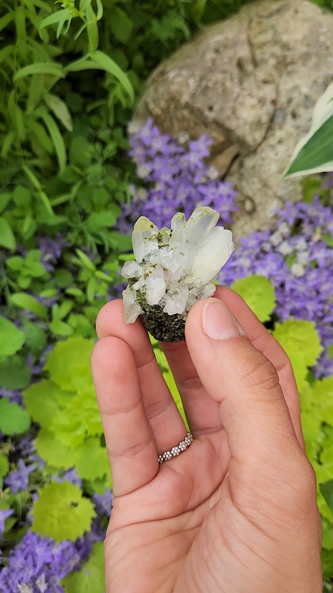 Epidote and Quartz J