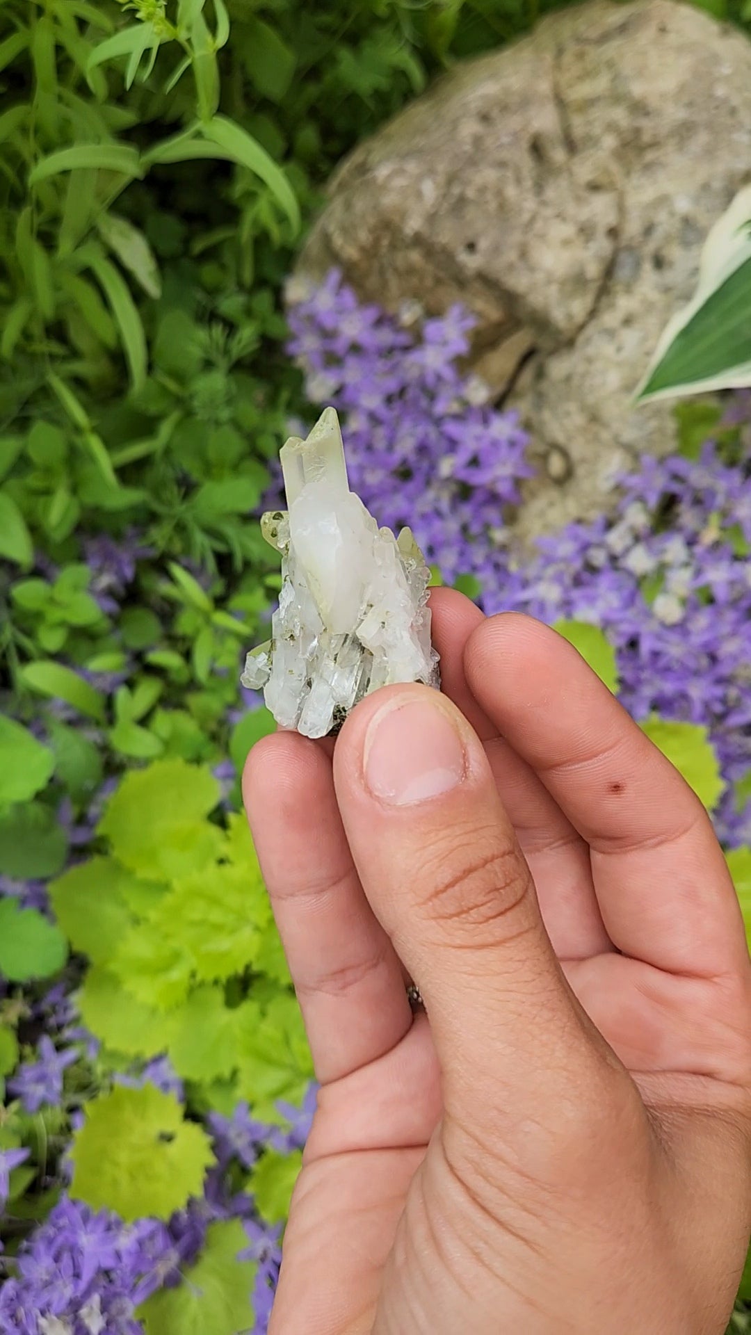 Epidote and Quartz J