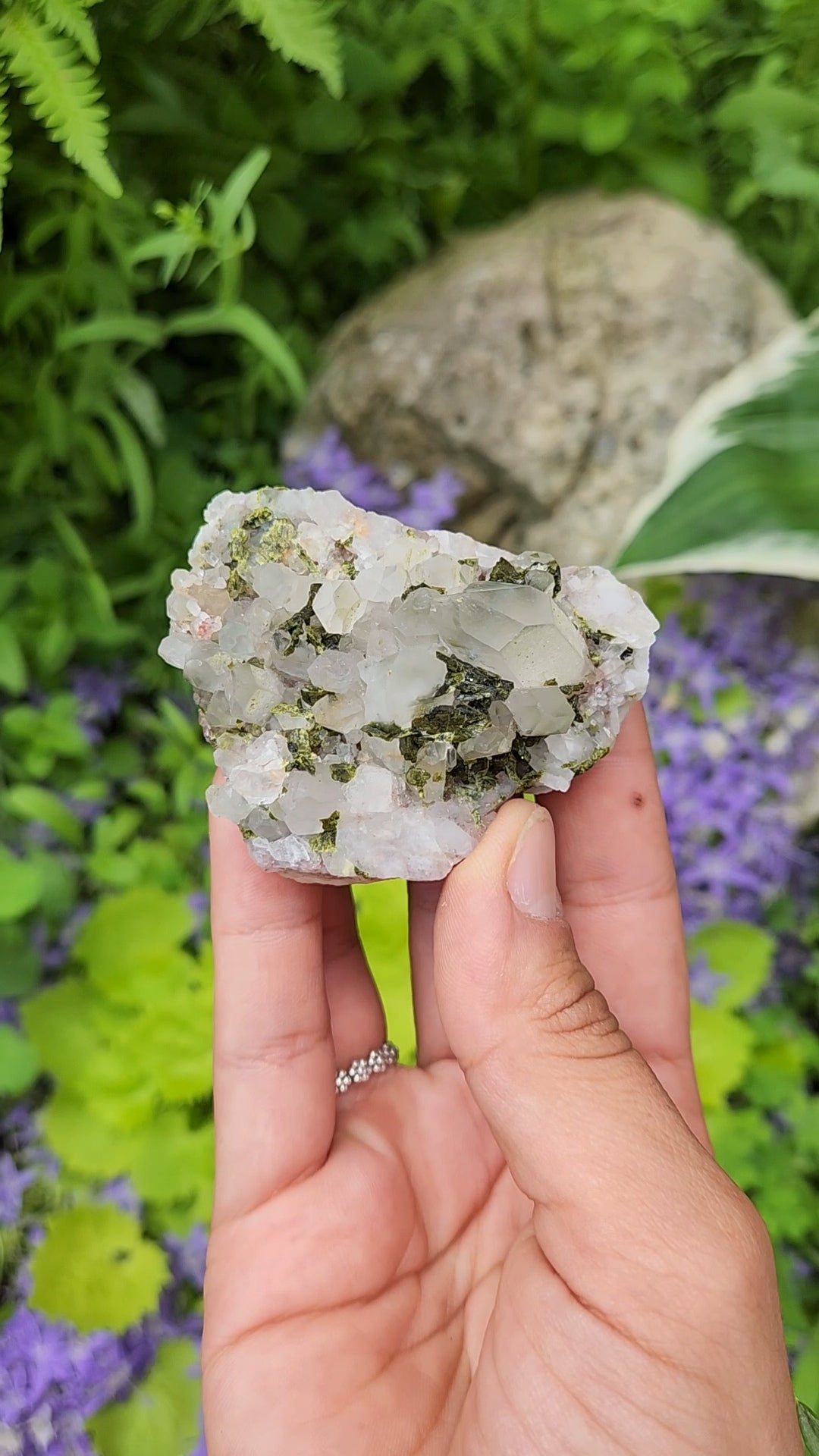 Epidote and Quartz I