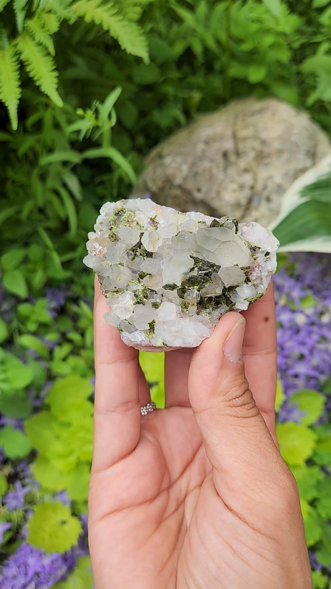Epidote and Quartz I