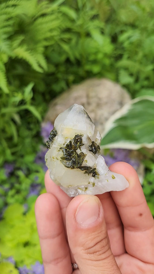 Epidote and Quartz H