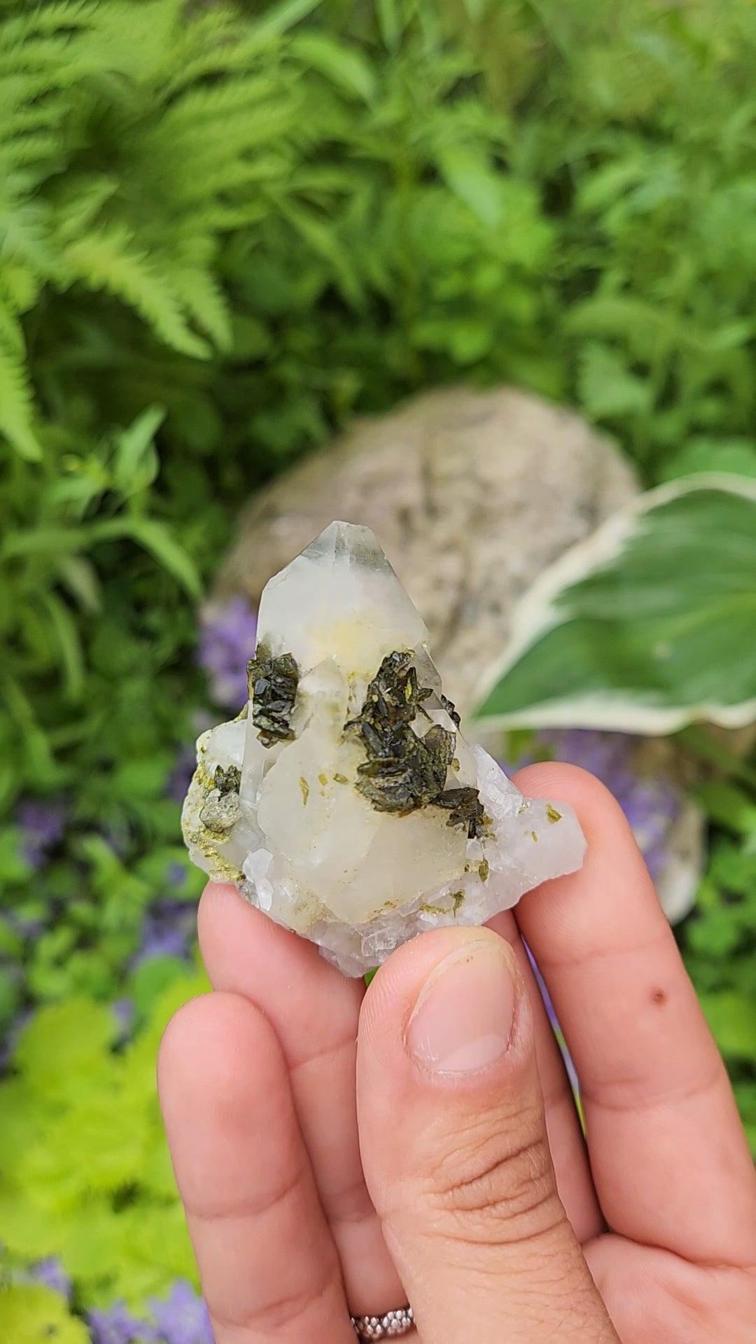 Epidote and Quartz H