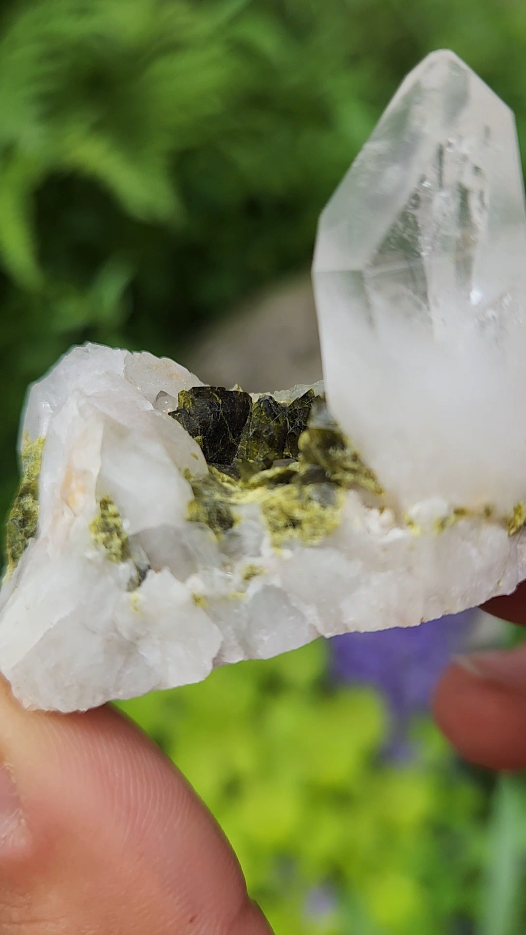 Epidote and Quartz G