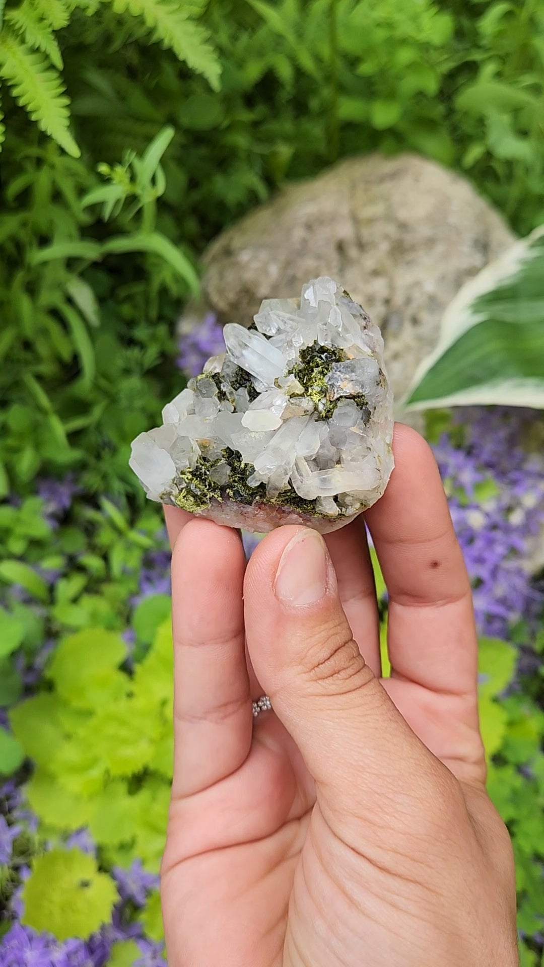 Epidote and Quartz F