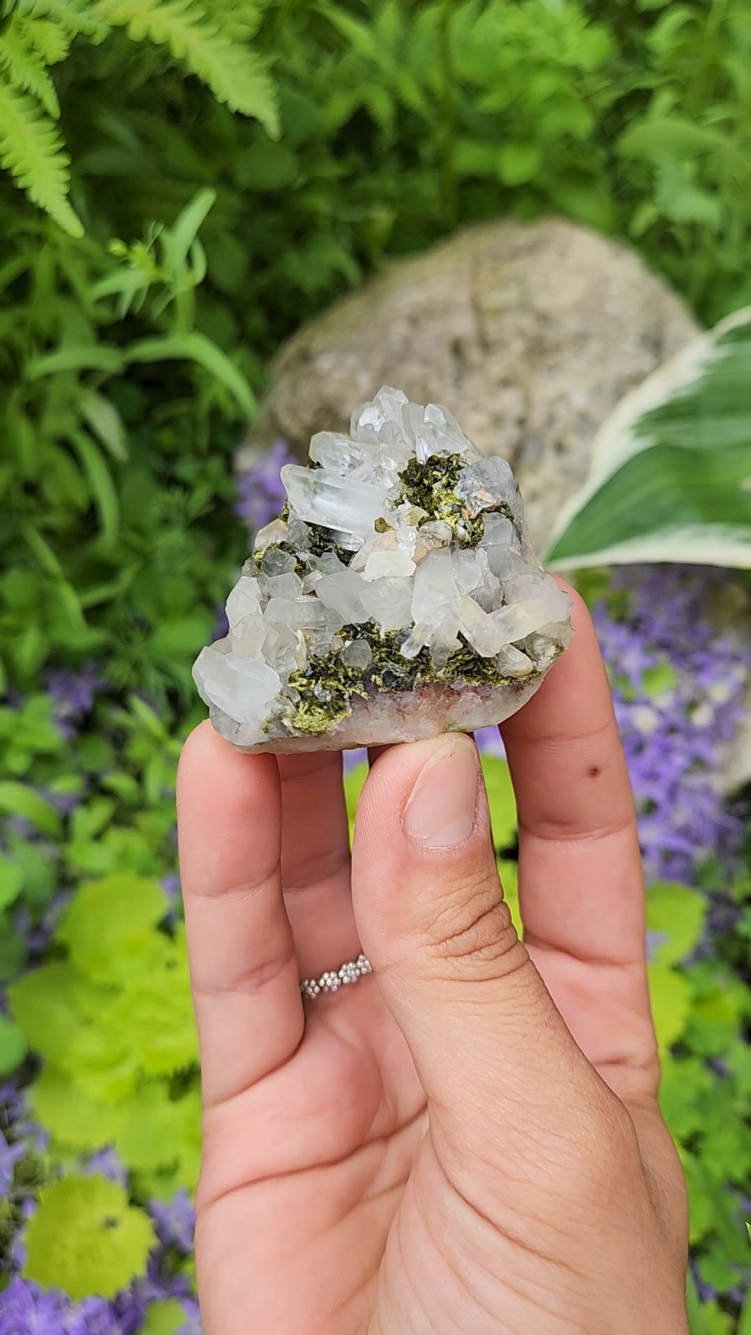 Epidote and Quartz F