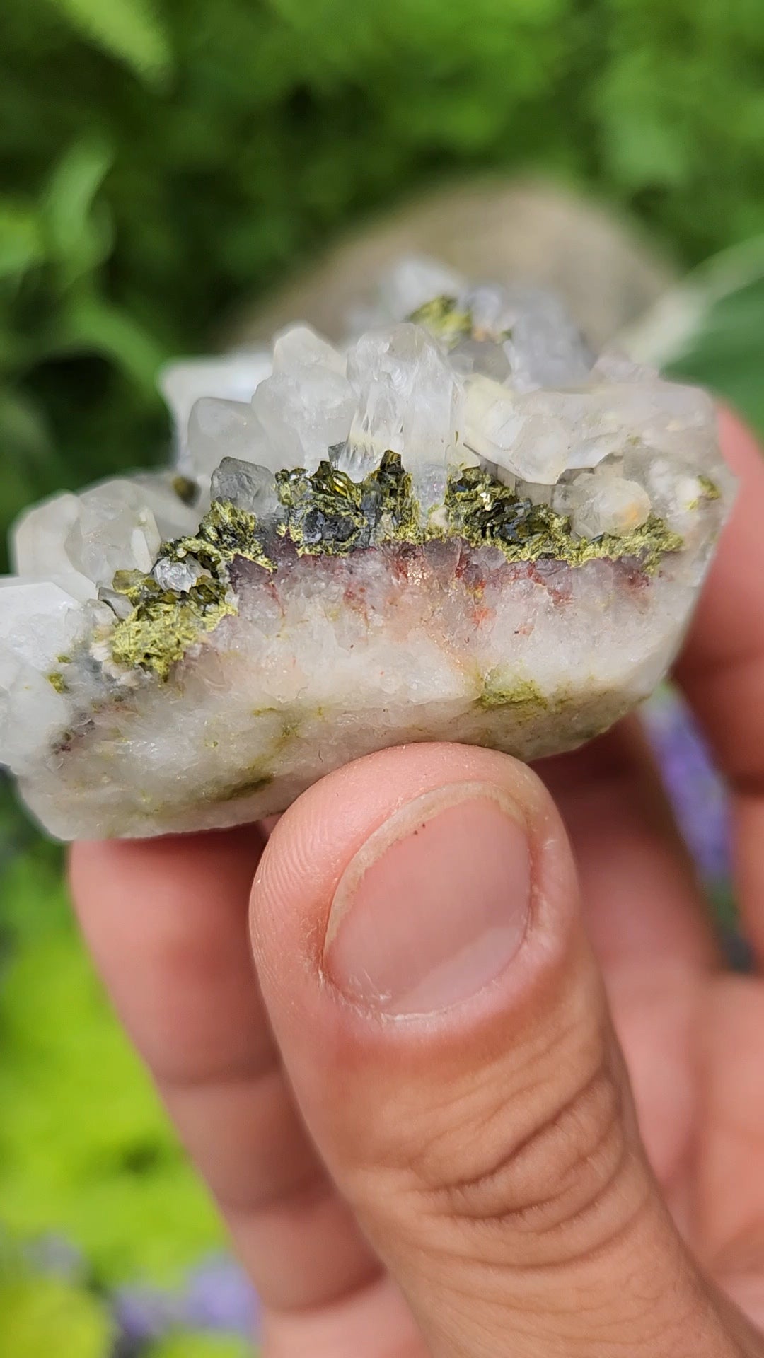 Epidote and Quartz F
