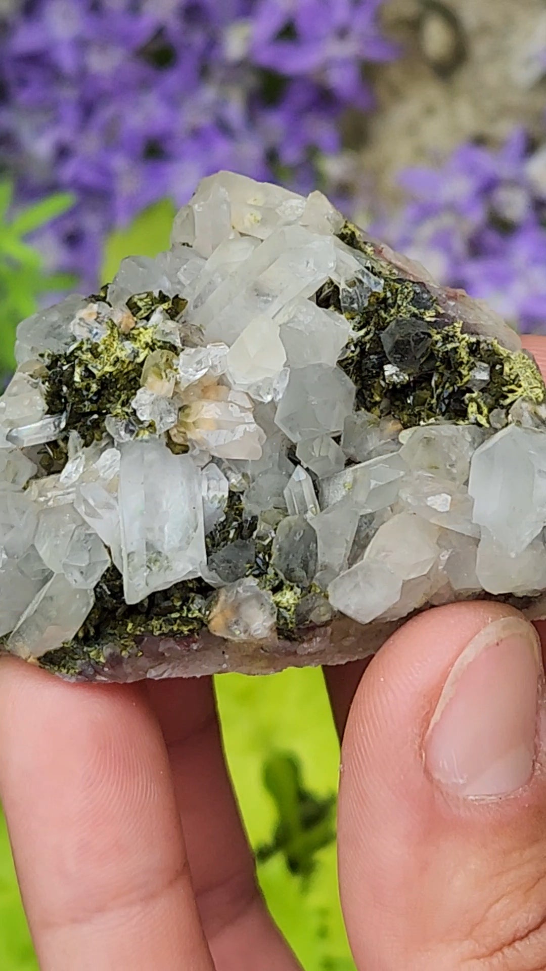Epidote and Quartz F