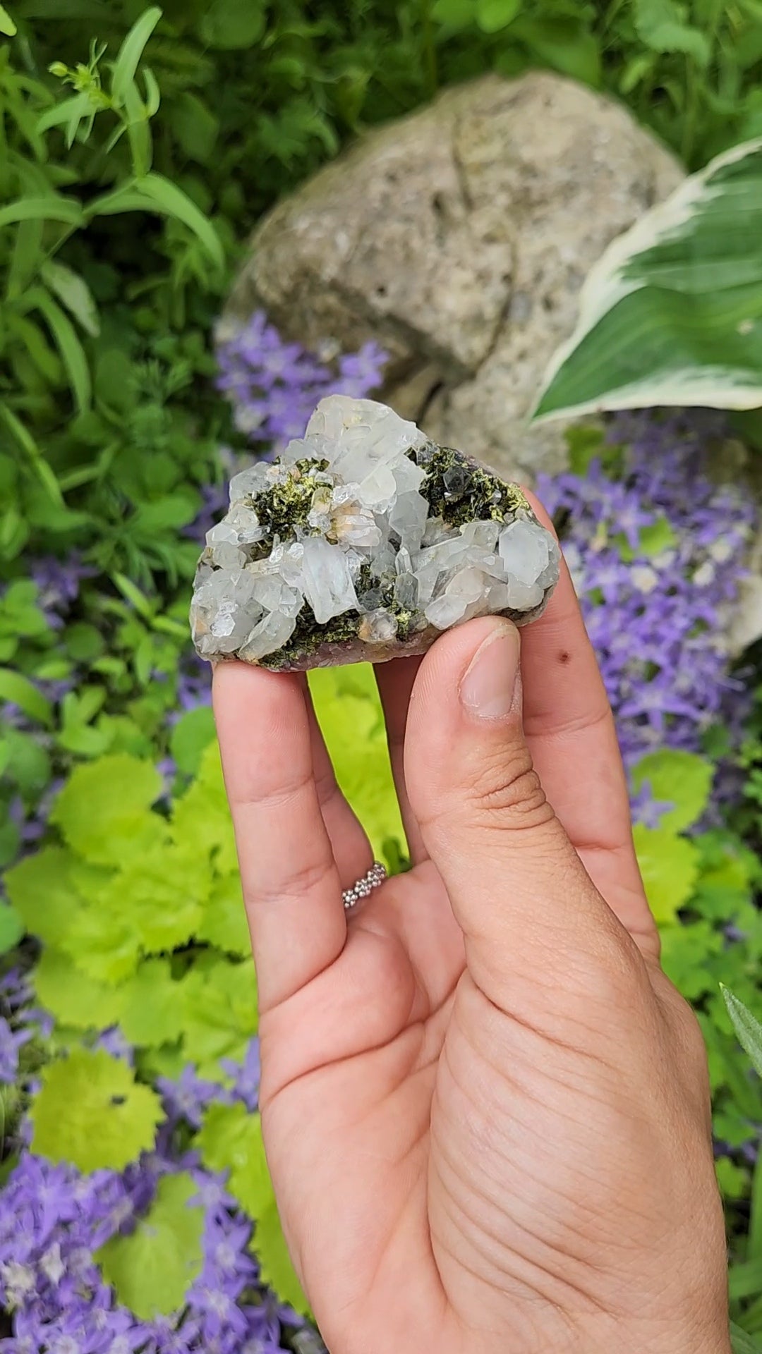 Epidote and Quartz F