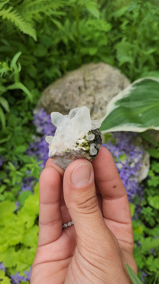 Epidote and Quartz E