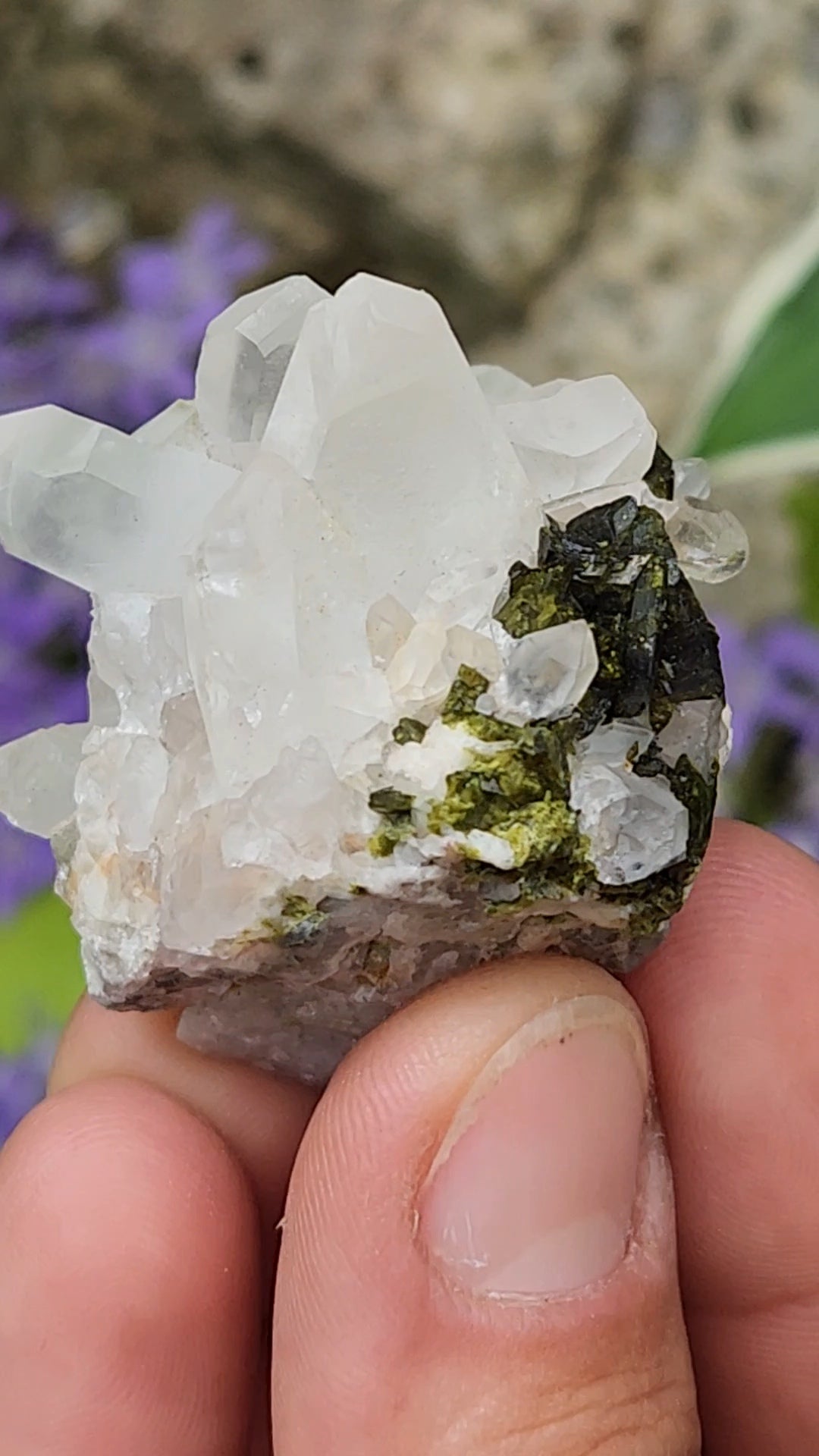 Epidote and Quartz E