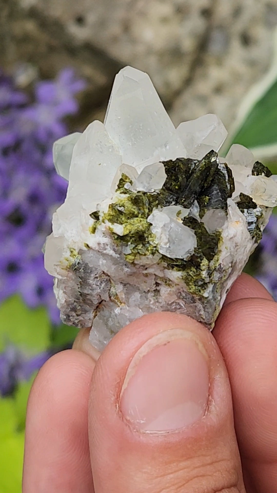 Epidote and Quartz E