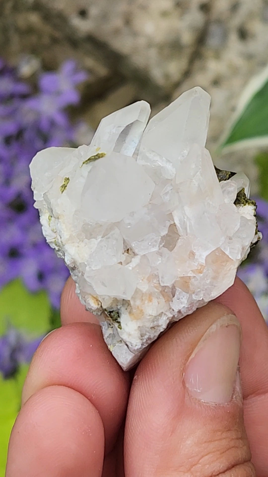 Epidote and Quartz E