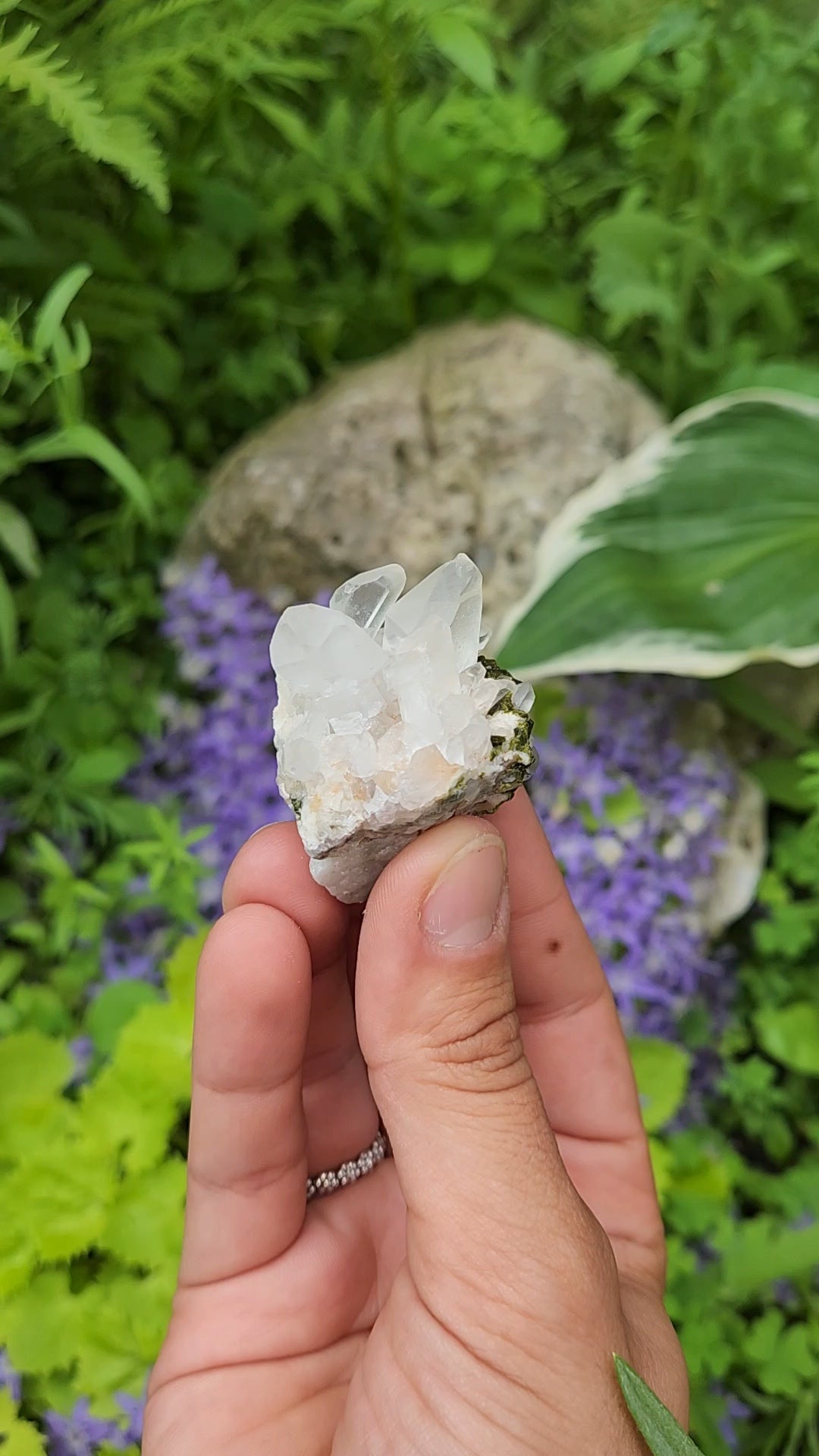 Epidote and Quartz E
