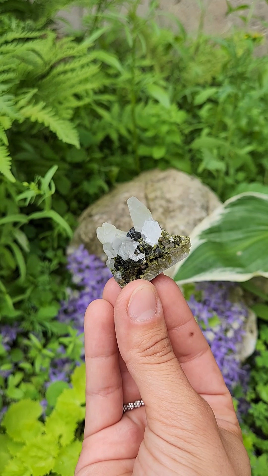 Epidote and Quartz D