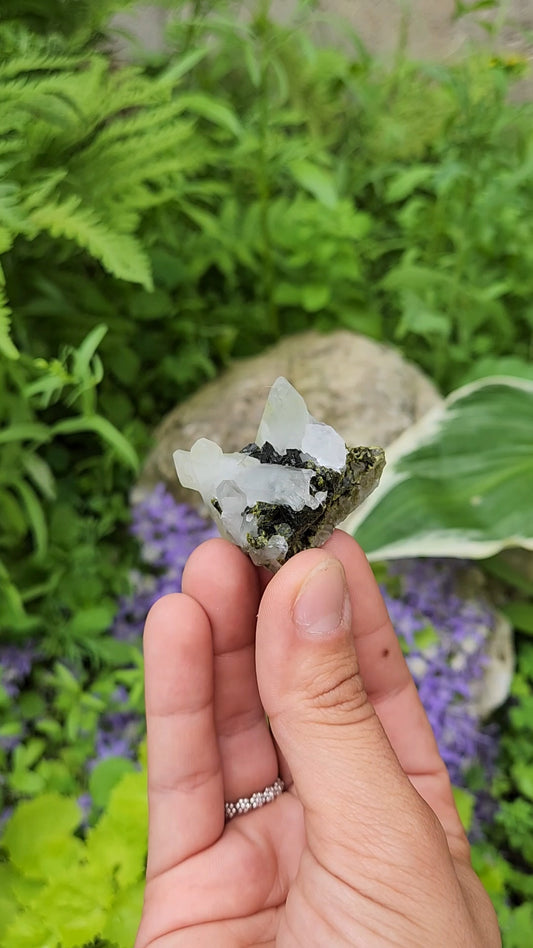 Epidote and Quartz D