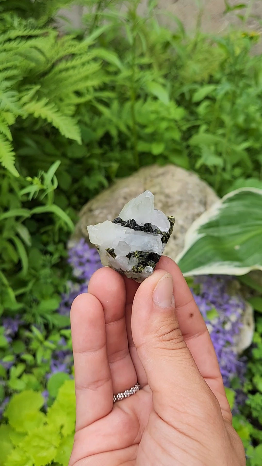 Epidote and Quartz D