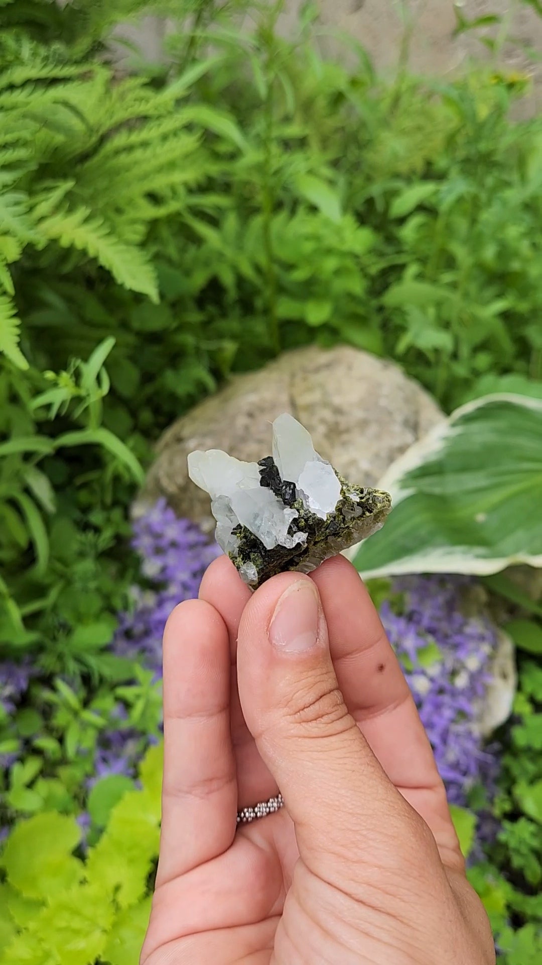 Epidote and Quartz D