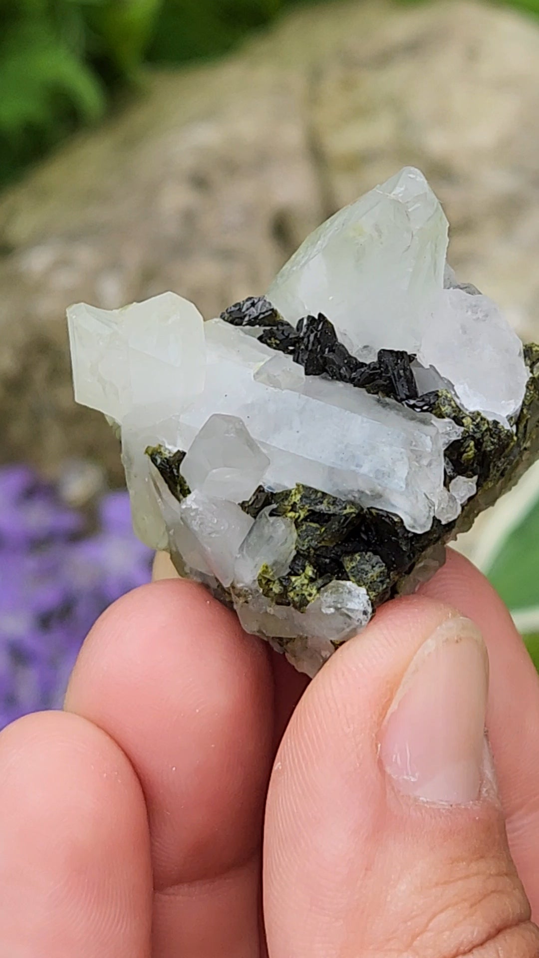 Epidote and Quartz D