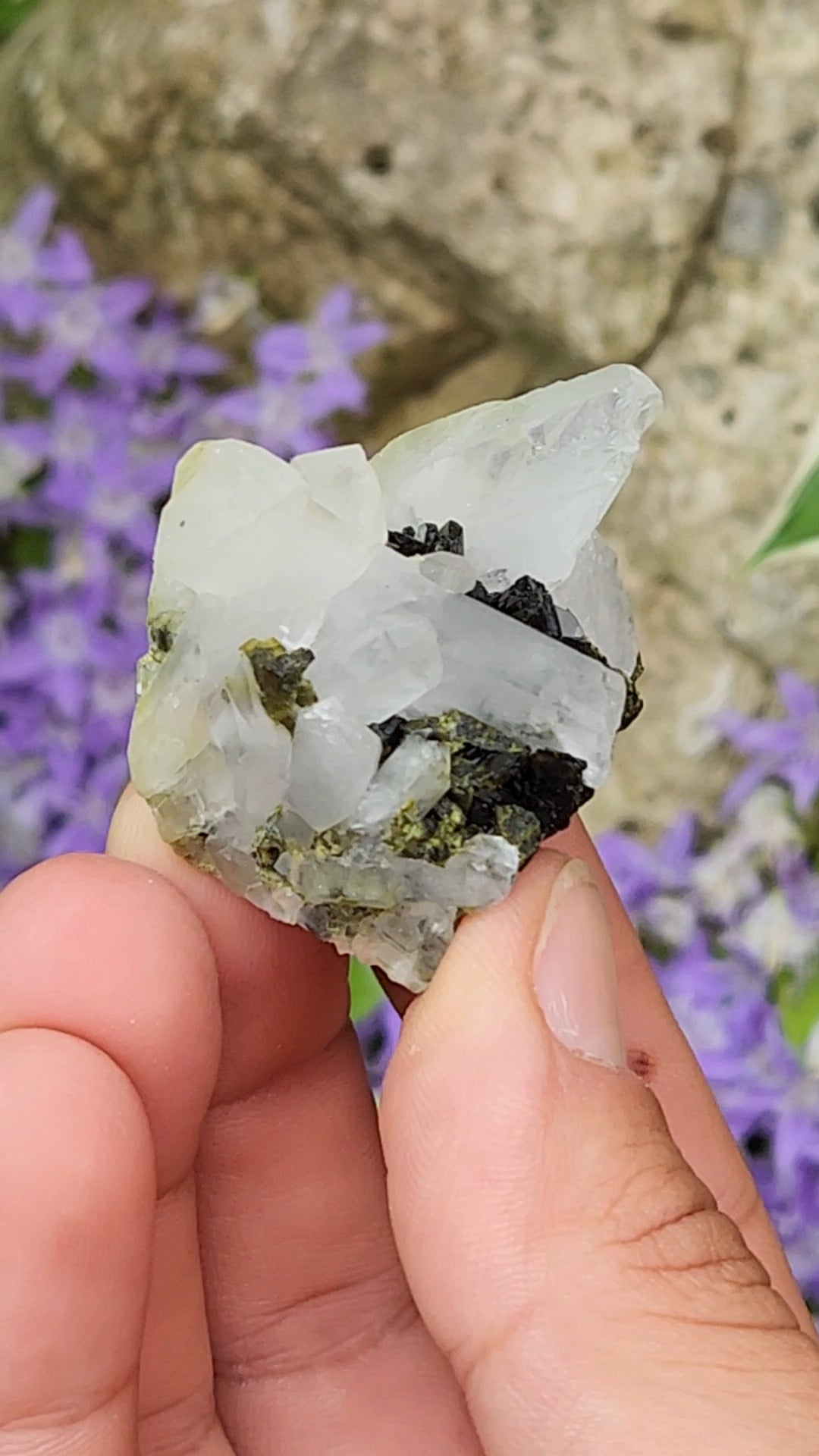 Epidote and Quartz D