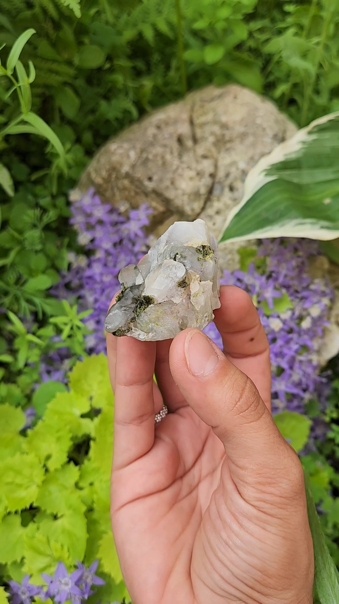 Epidote and Quartz C