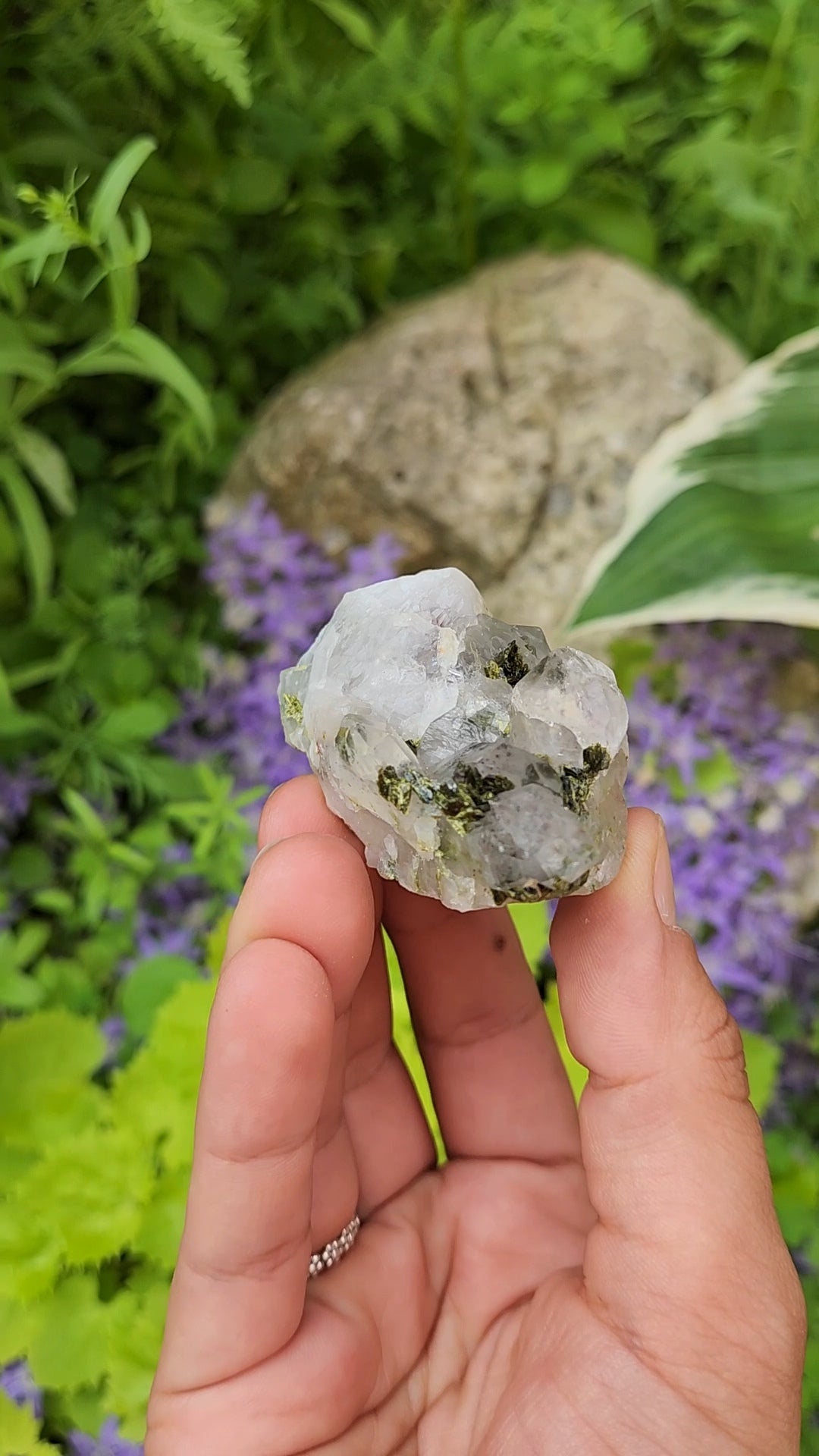 Epidote and Quartz C