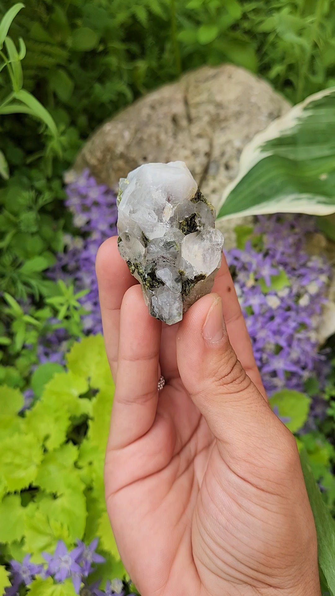 Epidote and Quartz C